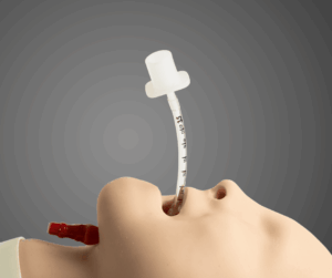 Endotracheal tube on a mannequin, classification endotracheal tubes ETTs Colombia