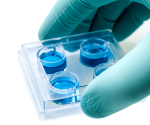 In Vitro dish hold by a hand, classification IVD Costa Rica