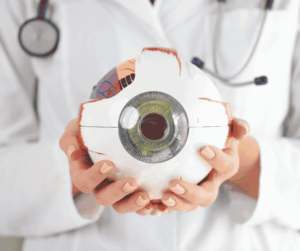 eye anatomical model, Intraocular lenses classification Mexico